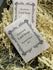 rose lard soap