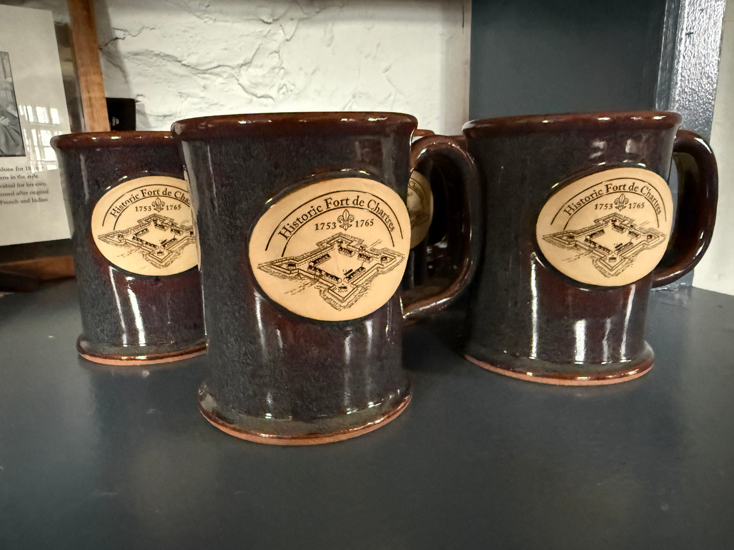 Mug Historic Fort de Chartres Collection Aerial View